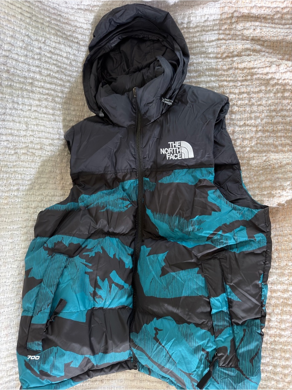 The North Face men Hooded Puffer Vest in Teal and Black